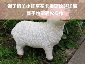 饿了吗羊小咩享花卡提现攻略详解，新手也能轻松操作