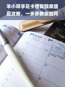 羊小咩享花卡借款额度提现攻略，一步步教你如何操作，还有案例说明