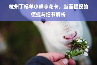 杭州丁桥羊小咩享花卡，当面提现的便捷与细节解析