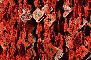 中国传统医药品牌的魅力与传承