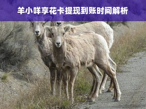 羊小咩享花卡提现到账时间解析