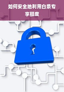 如何安全地利用白条专享额度