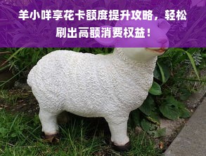 羊小咩享花卡额度提升攻略，轻松刷出高额消费权益！