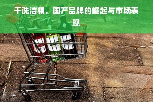 干洗洁精，国产品牌的崛起与市场表现