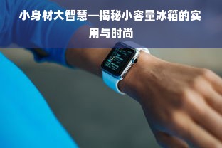 小身材大智慧—揭秘小容量冰箱的实用与时尚
