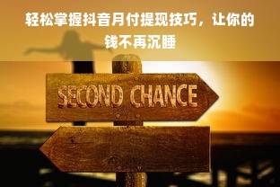 轻松掌握抖音月付提现技巧，让你的钱不再沉睡