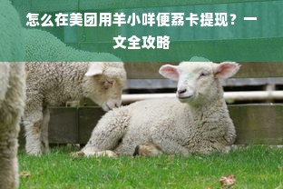 怎么在美团用羊小咩便荔卡提现？一文全攻略