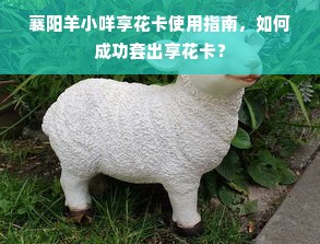 襄阳羊小咩享花卡使用指南，如何成功套出享花卡？