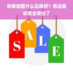 西方发达国家早教加盟费深度解析，费用、案例及考量因素