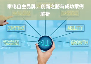 家电自主品牌，创新之路与成功案例解析