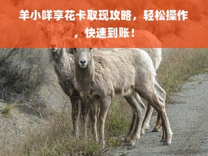 羊小咩享花卡取现攻略，轻松操作，快速到账！