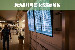 跨境品牌母婴市场深度解析