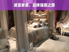 诺亚家居，品牌强国之路