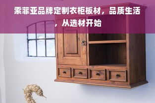 索菲亚品牌定制衣柜板材，品质生活，从选材开始