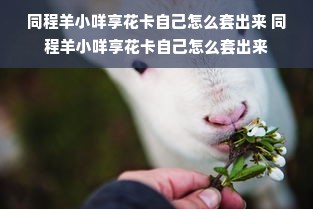 同程羊小咩享花卡自己怎么套出来 同程羊小咩享花卡自己怎么套出来