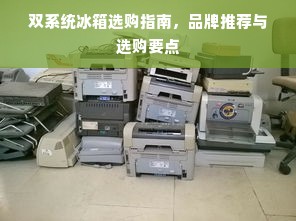 双系统冰箱选购指南，品牌推荐与选购要点