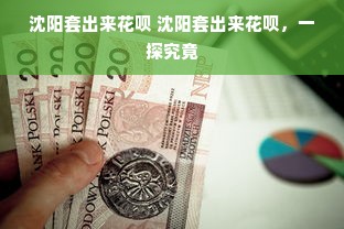 沈阳套出来花呗 沈阳套出来花呗，一探究竟