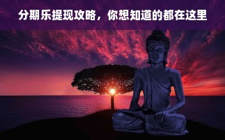 分期乐提现攻略，你想知道的都在这里