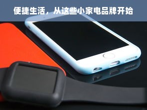 便捷生活，从这些小家电品牌开始