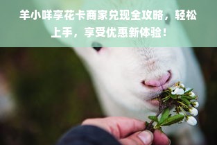 羊小咩享花卡商家兑现全攻略，轻松上手，享受优惠新体验！