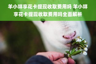 羊小咩享花卡提现收取费用吗 羊小咩享花卡提现收取费用吗全面解析