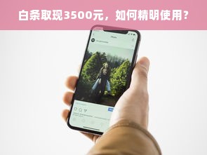 白条取现3500元，如何精明使用？