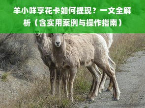 羊小咩享花卡如何提现？一文全解析（含实用案例与操作指南）