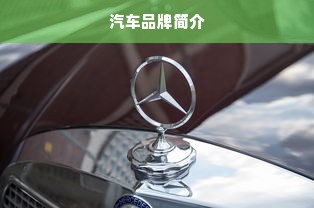 汽车品牌简介