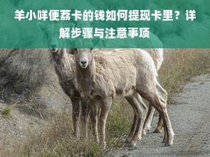 羊小咩便荔卡的钱如何提现卡里？详解步骤与注意事项