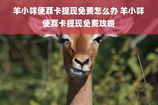 羊小咩便荔卡提现免费怎么办 羊小咩便荔卡提现免费攻略