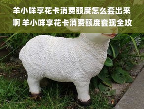 羊小咩享花卡消费额度怎么套出来啊 羊小咩享花卡消费额度套现全攻略