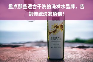 盘点那些适合干洗的洗发水品牌，告别传统洗发烦恼！