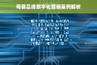 母婴品牌数字化营销案例解析