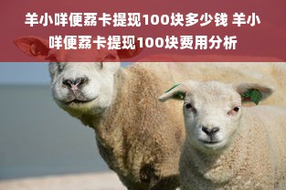 羊小咩便荔卡提现100块多少钱 羊小咩便荔卡提现100块费用分析