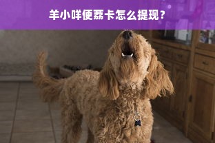 羊小咩便荔卡怎么提现？