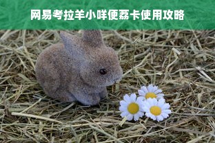 网易考拉羊小咩便荔卡使用攻略