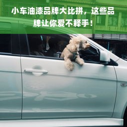 小车油漆品牌大比拼，这些品牌让你爱不释手！