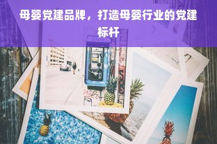 母婴党建品牌，打造母婴行业的党建标杆