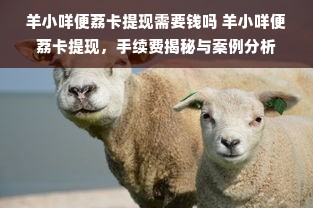 羊小咩便荔卡提现需要钱吗 羊小咩便荔卡提现，手续费揭秘与案例分析