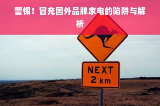 警惕！冒充国外品牌家电的陷阱与解析