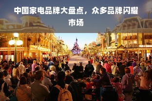 中国家电品牌大盘点，众多品牌闪耀市场