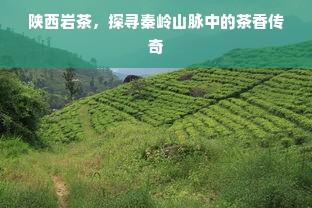 安平县母婴店加盟品牌深度解析