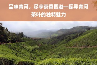 浩婻母婴产后修复品牌，专业呵护，重塑美丽