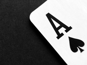 深圳众创网络与羊小咩便荔卡的融合创新