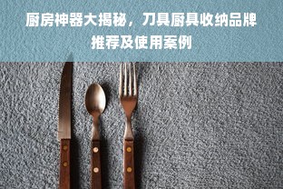 厨房神器大揭秘，刀具厨具收纳品牌推荐及使用案例