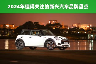 2024年值得关注的新兴汽车品牌盘点
