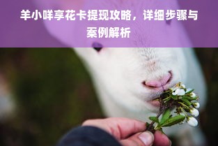 羊小咩享花卡提现攻略，详细步骤与案例解析