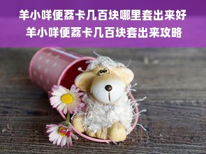 羊小咩便荔卡几百块哪里套出来好 羊小咩便荔卡几百块套出来攻略