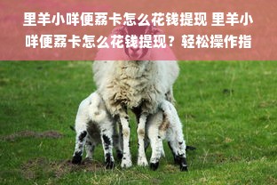 里羊小咩便荔卡怎么花钱提现 里羊小咩便荔卡怎么花钱提现？轻松操作指南+案例分享