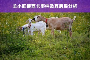 羊小咩便荔卡事件及其后果分析